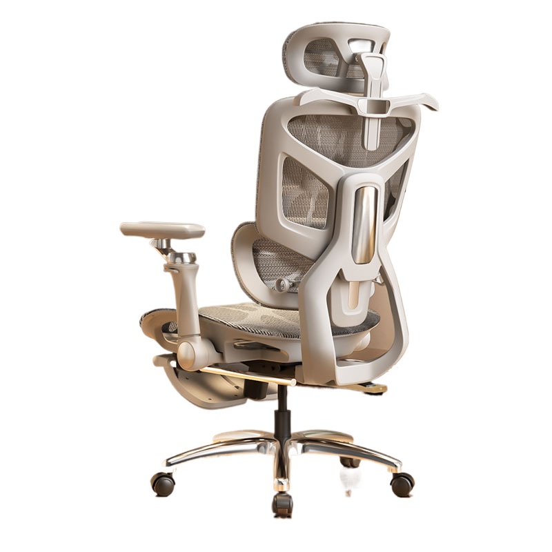 Evde Kullanım İçin Bel Desteği - Ergonomic Office Chair incelemesi ve fiyatı